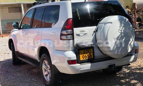 Tenga Tsaru Toyota Land Cruiser Prado Chena Mota in Bulawayo in Bulawayo Tenga Tsaru Toyota Land Cruiser Prado Chena Mota in Bulawayo in Bulawayo