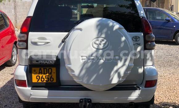 Tenga Tsaru Toyota Land Cruiser Prado Chena Mota in Bulawayo in Bulawayo Tenga Tsaru Toyota Land Cruiser Prado Chena Mota in Bulawayo in Bulawayo