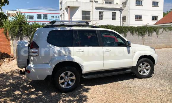 Tenga Tsaru Toyota Land Cruiser Prado Chena Mota in Bulawayo in Bulawayo Tenga Tsaru Toyota Land Cruiser Prado Chena Mota in Bulawayo in Bulawayo