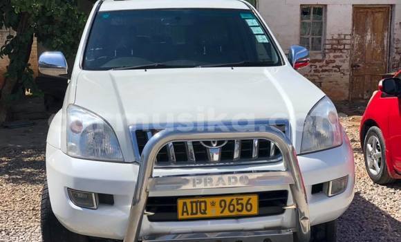 Tenga Tsaru Toyota Land Cruiser Prado Chena Mota in Bulawayo in Bulawayo Tenga Tsaru Toyota Land Cruiser Prado Chena Mota in Bulawayo in Bulawayo