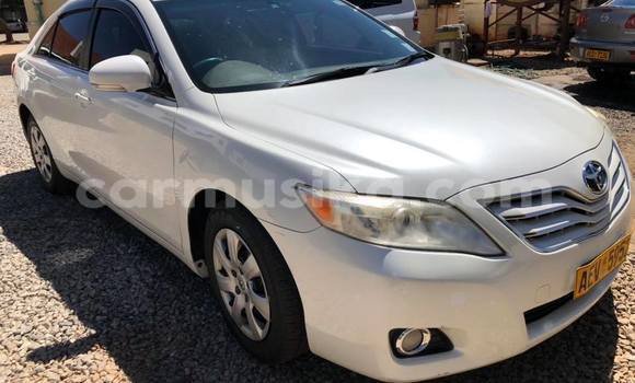Tenga Tsaru Toyota Camry Chena Mota in Bulawayo in Bulawayo Tenga Tsaru Toyota Camry Chena Mota in Bulawayo in Bulawayo