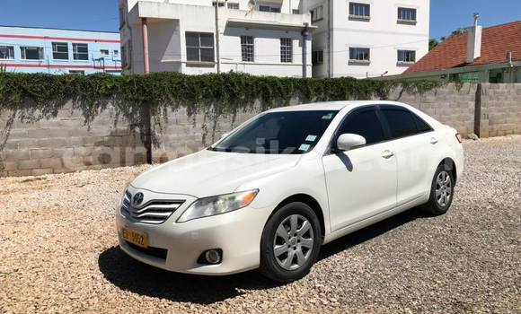 Tenga Tsaru Toyota Camry Chena Mota in Bulawayo in Bulawayo Tenga Tsaru Toyota Camry Chena Mota in Bulawayo in Bulawayo