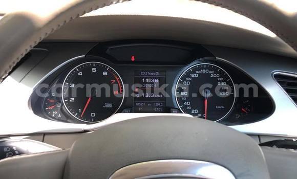 Tenga Tsaru Audi A4 Nhema Mota in Harare in Harare Tenga Tsaru Audi A4 Nhema Mota in Harare in Harare
