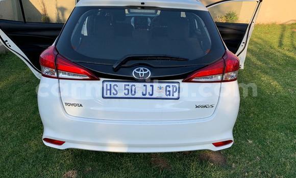Acheter Occasion Voiture Toyota Yaris Blanc à Beitbridge, Matabeleland South Acheter Occasion Voiture Toyota Yaris Blanc à Beitbridge, Matabeleland South