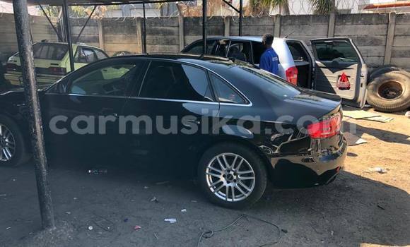 Tenga Tsaru Audi A4 Nhema Mota in Harare in Harare Tenga Tsaru Audi A4 Nhema Mota in Harare in Harare