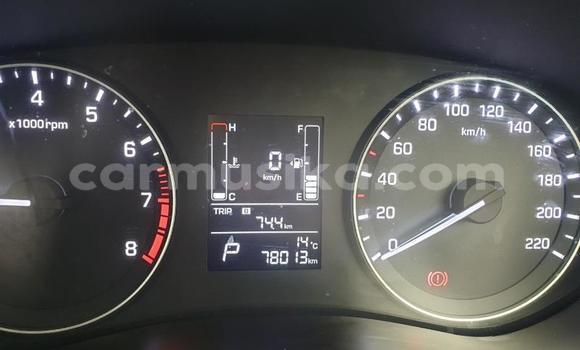 Buy Used Hyundai i20 Other Car in Harare in Harare Buy Used Hyundai i20 Other Car in Harare in Harare