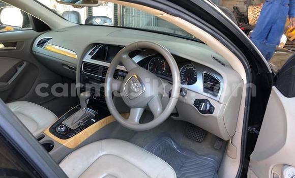 Tenga Tsaru Audi A4 Nhema Mota in Harare in Harare Tenga Tsaru Audi A4 Nhema Mota in Harare in Harare