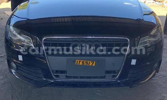 Tenga Tsaru Audi A4 Nhema Mota in Harare in Harare Tenga Tsaru Audi A4 Nhema Mota in Harare in Harare