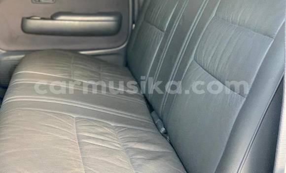 Tenga Tsaru Toyota Hilux Chena Mota in Bulawayo in Bulawayo Tenga Tsaru Toyota Hilux Chena Mota in Bulawayo in Bulawayo