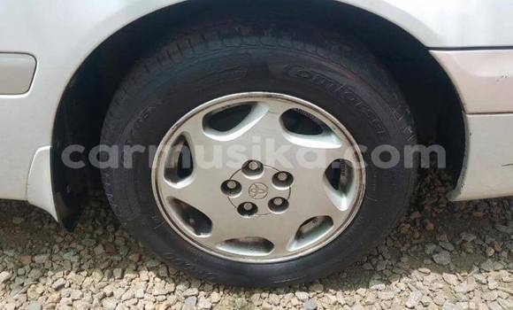 Tenga Tsaru Toyota Corona Sirivha Mota in Bulawayo in Bulawayo Tenga Tsaru Toyota Corona Sirivha Mota in Bulawayo in Bulawayo