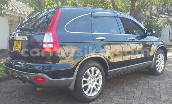 Tenga Tsaru Honda CR–V Nhema Mota in Bulawayo in Bulawayo Tenga Tsaru Honda CR–V Nhema Mota in Bulawayo in Bulawayo