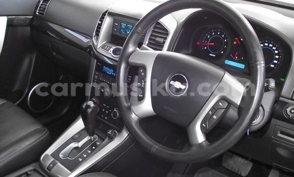 Buy Used Chevrolet Captiva Silver Car in Borrowdale in Harare Buy Used Chevrolet Captiva Silver Car in Borrowdale in Harare