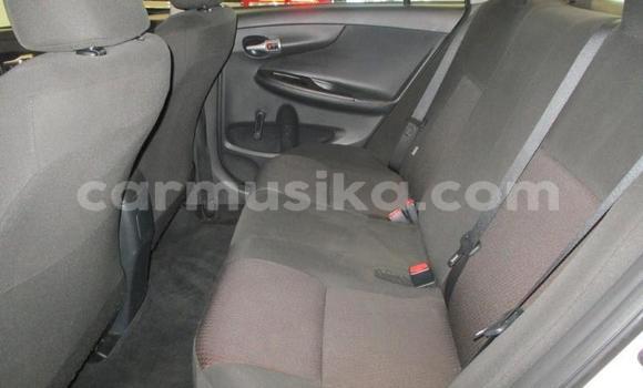 Tenga Tsaru Toyota Corolla Chena Mota in Beitbridge in Matabeleland South Tenga Tsaru Toyota Corolla Chena Mota in Beitbridge in Matabeleland South