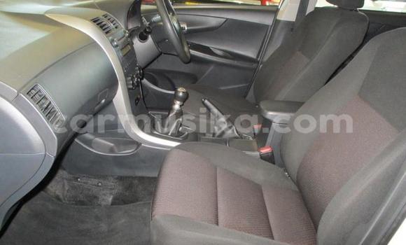 Tenga Tsaru Toyota Corolla Chena Mota in Beitbridge in Matabeleland South Tenga Tsaru Toyota Corolla Chena Mota in Beitbridge in Matabeleland South