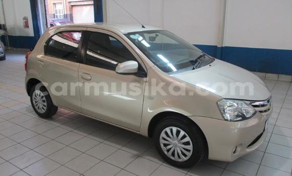 Tenga Tsaru Toyota Etios Chena Mota in Beitbridge in Matabeleland South