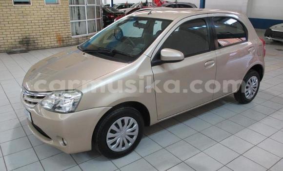 Tenga Tsaru Toyota Etios Chena Mota in Beitbridge in Matabeleland South Tenga Tsaru Toyota Etios Chena Mota in Beitbridge in Matabeleland South