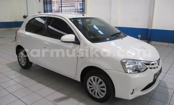 Tenga Tsaru Toyota Vitz Chena Mota in Beitbridge in Matabeleland South