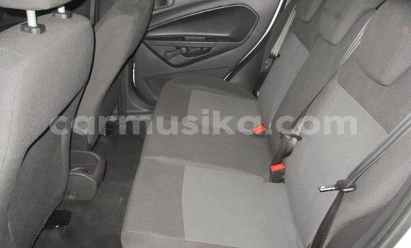 Tenga Tsaru Ford Fiesta Chena Mota in Beitbridge in Matabeleland South Tenga Tsaru Ford Fiesta Chena Mota in Beitbridge in Matabeleland South