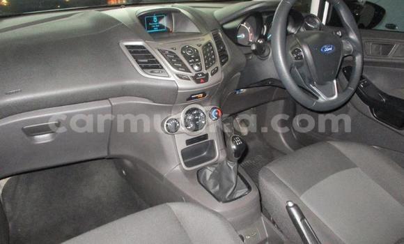 Tenga Tsaru Ford Fiesta Chena Mota in Beitbridge in Matabeleland South Tenga Tsaru Ford Fiesta Chena Mota in Beitbridge in Matabeleland South