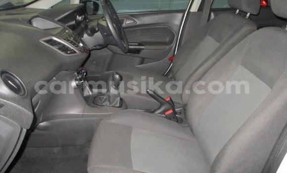 Tenga Tsaru Ford Fiesta Chena Mota in Beitbridge in Matabeleland South Tenga Tsaru Ford Fiesta Chena Mota in Beitbridge in Matabeleland South