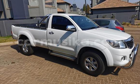 Tenga Tsaru Toyota Hilux Chena Mota in Beitbridge in Matabeleland South
