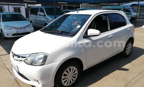 Buy Used Toyota Etios White Car in Beitbridge in Matabeleland South