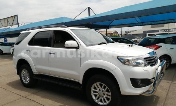 Tenga Tsaru Toyota Fortuner Chena Mota in Beitbridge in Matabeleland South