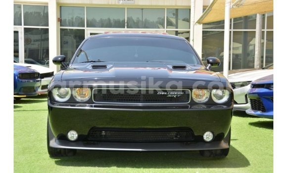 Tenga Imported Dodge Challenger Nhema Mota in Import - Dubai in Harare