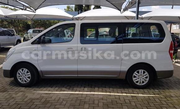 Acheter Occasion Voiture Hyundai H1 Blanc à Harare, Harare Acheter Occasion Voiture Hyundai H1 Blanc à Harare, Harare