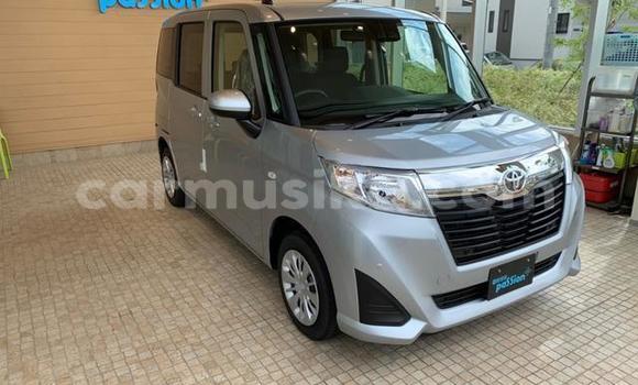 Buy Used Toyota Passo Silver Car in Beitbridge in Matabeleland South Buy Used Toyota Passo Silver Car in Beitbridge in Matabeleland South