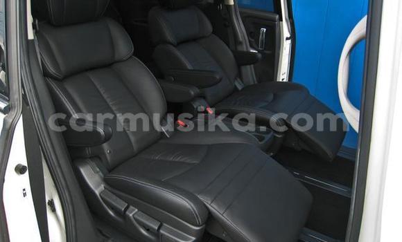 Buy Used Nissan Elgrand White Car in Beitbridge in Matabeleland South Buy Used Nissan Elgrand White Car in Beitbridge in Matabeleland South