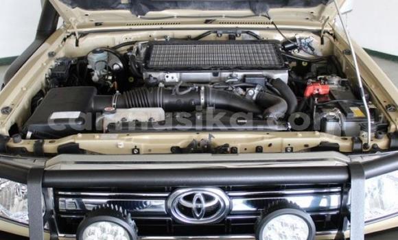 Tenga Tsaru Toyota Land Cruiser Zvimwe Mota in Beitbridge in Matabeleland South Tenga Tsaru Toyota Land Cruiser Zvimwe Mota in Beitbridge in Matabeleland South