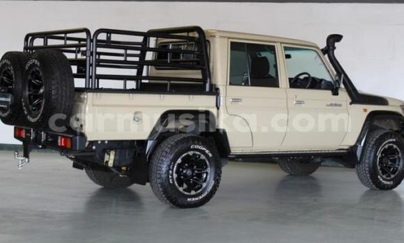 Tenga Tsaru Toyota Land Cruiser Zvimwe Mota in Beitbridge in Matabeleland South Tenga Tsaru Toyota Land Cruiser Zvimwe Mota in Beitbridge in Matabeleland South