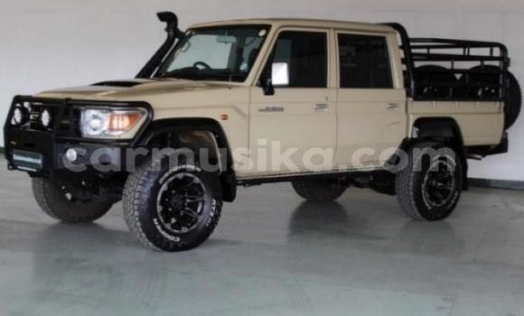 Tenga Tsaru Toyota Land Cruiser Zvimwe Mota in Beitbridge in Matabeleland South Tenga Tsaru Toyota Land Cruiser Zvimwe Mota in Beitbridge in Matabeleland South