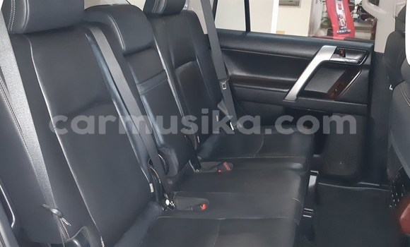 Tenga Tsaru Toyota Prado Chena Mota in Beitbridge in Matabeleland South Tenga Tsaru Toyota Prado Chena Mota in Beitbridge in Matabeleland South