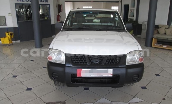 Buy Used Nissan NP 300 White Car in Harare in Harare Buy Used Nissan NP 300 White Car in Harare in Harare