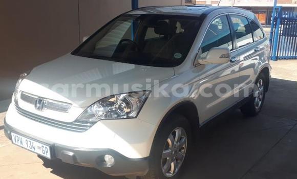 Buy Used Honda CR–V White Car in Beitbridge in Matabeleland South