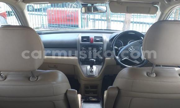 Acheter Occasion Voiture Honda CR–V Blanc à Beitbridge, Matabeleland South Acheter Occasion Voiture Honda CR–V Blanc à Beitbridge, Matabeleland South