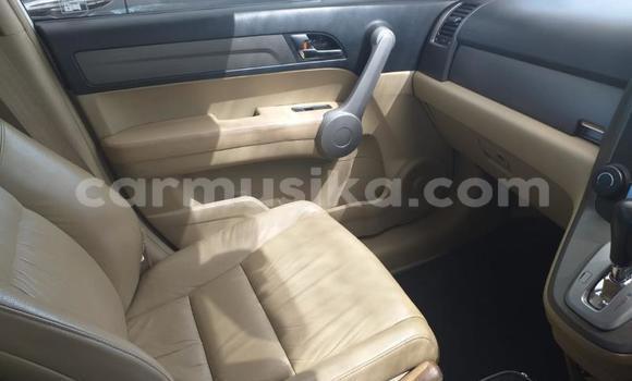 Acheter Occasion Voiture Honda CR–V Blanc à Beitbridge, Matabeleland South Acheter Occasion Voiture Honda CR–V Blanc à Beitbridge, Matabeleland South