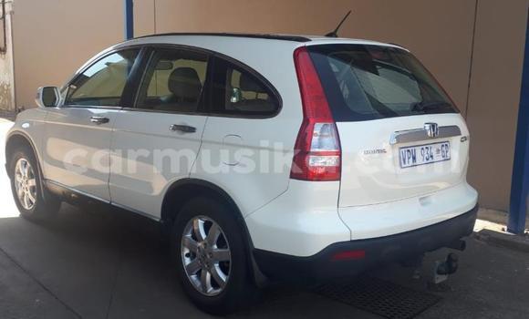Acheter Occasion Voiture Honda CR–V Blanc à Beitbridge, Matabeleland South Acheter Occasion Voiture Honda CR–V Blanc à Beitbridge, Matabeleland South