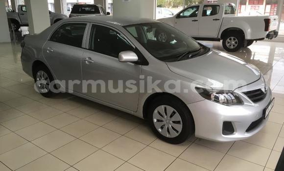 Nunua Ilio tumika Toyota Corolla Fedha Gari ndani ya Harare nchini Harare