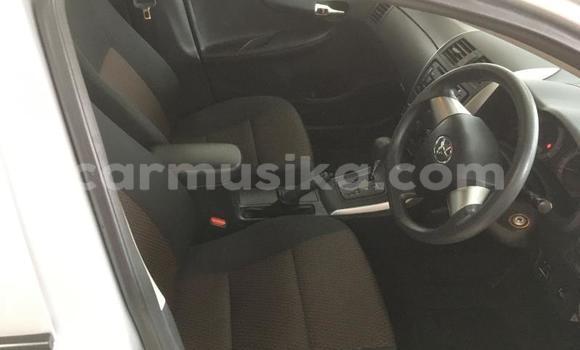 Tenga Tsaru Toyota Corolla Sirivha Mota in Harare in Harare Tenga Tsaru Toyota Corolla Sirivha Mota in Harare in Harare