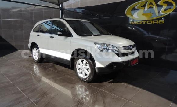 Acheter Occasion Voiture Honda CR–V Blanc à Beitbridge, Matabeleland South