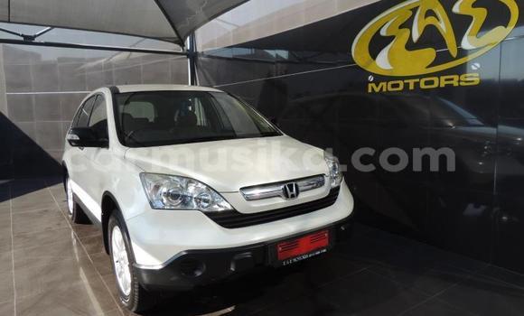 Buy Used Honda CR–V White Car in Beitbridge in Matabeleland South Buy Used Honda CR–V White Car in Beitbridge in Matabeleland South