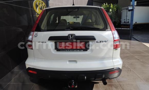 Buy Used Honda CR–V White Car in Beitbridge in Matabeleland South Buy Used Honda CR–V White Car in Beitbridge in Matabeleland South