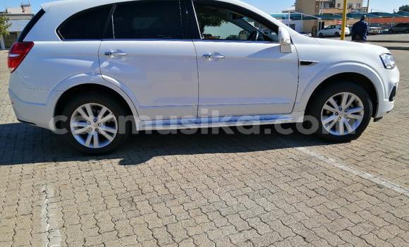 Nunua Ilio tumika Chevrolet Captiva Nyeupe Gari ndani ya Beitbridge nchini Matabeleland Kusini Nunua Ilio tumika Chevrolet Captiva Nyeupe Gari ndani ya Beitbridge nchini Matabeleland Kusini