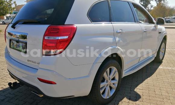 Nunua Ilio tumika Chevrolet Captiva Nyeupe Gari ndani ya Beitbridge nchini Matabeleland Kusini Nunua Ilio tumika Chevrolet Captiva Nyeupe Gari ndani ya Beitbridge nchini Matabeleland Kusini