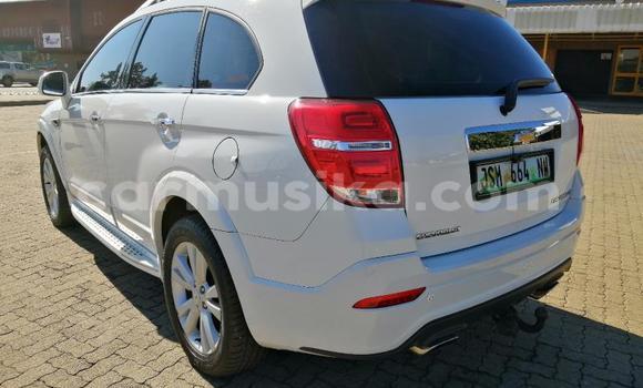 Nunua Ilio tumika Chevrolet Captiva Nyeupe Gari ndani ya Beitbridge nchini Matabeleland Kusini Nunua Ilio tumika Chevrolet Captiva Nyeupe Gari ndani ya Beitbridge nchini Matabeleland Kusini