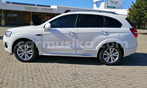 Nunua Ilio tumika Chevrolet Captiva Nyeupe Gari ndani ya Beitbridge nchini Matabeleland Kusini Nunua Ilio tumika Chevrolet Captiva Nyeupe Gari ndani ya Beitbridge nchini Matabeleland Kusini
