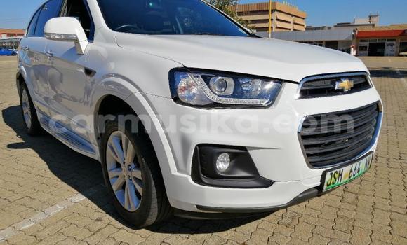 Nunua Ilio tumika Chevrolet Captiva Nyeupe Gari ndani ya Beitbridge nchini Matabeleland Kusini Nunua Ilio tumika Chevrolet Captiva Nyeupe Gari ndani ya Beitbridge nchini Matabeleland Kusini